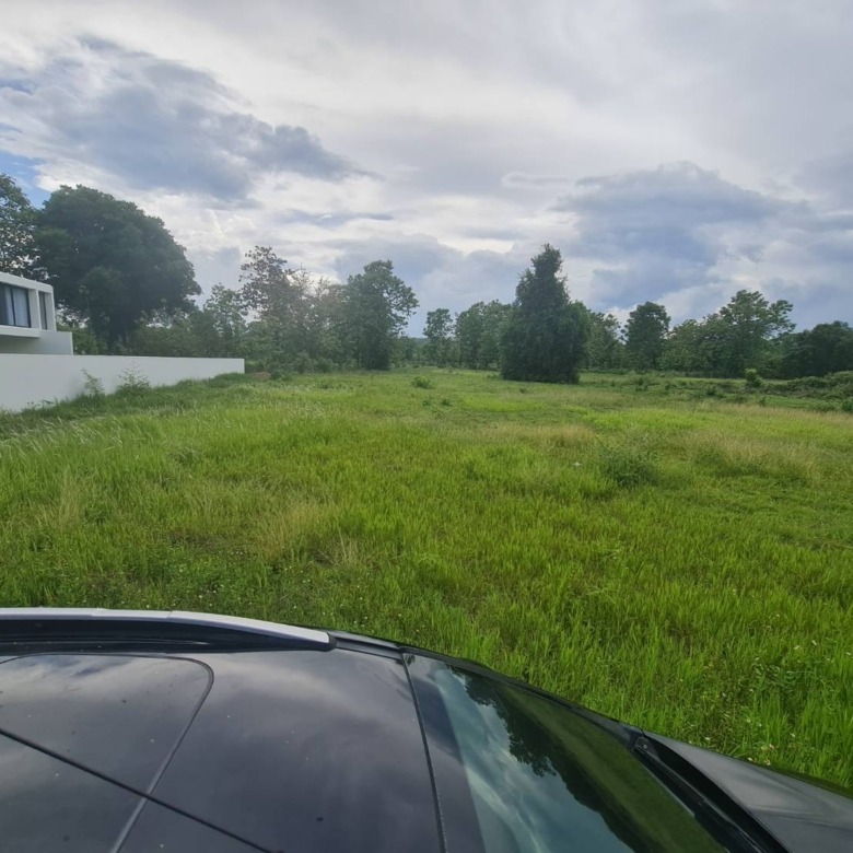 Chiang Mai Land For Sale