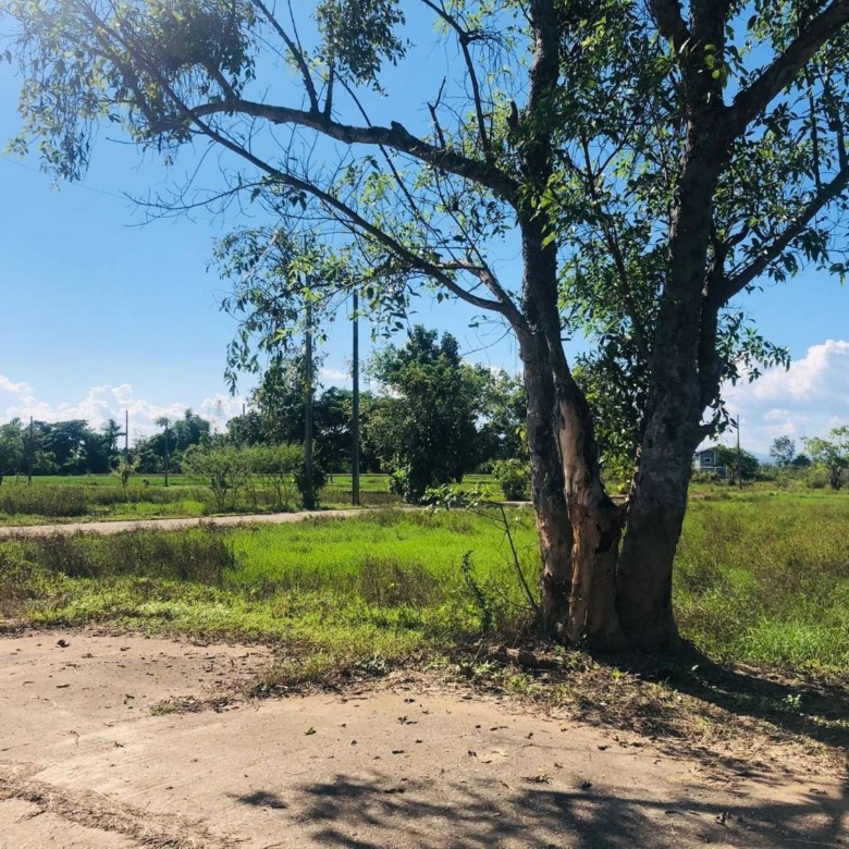 Chiang Mai House and Land Development Site Hang Dong