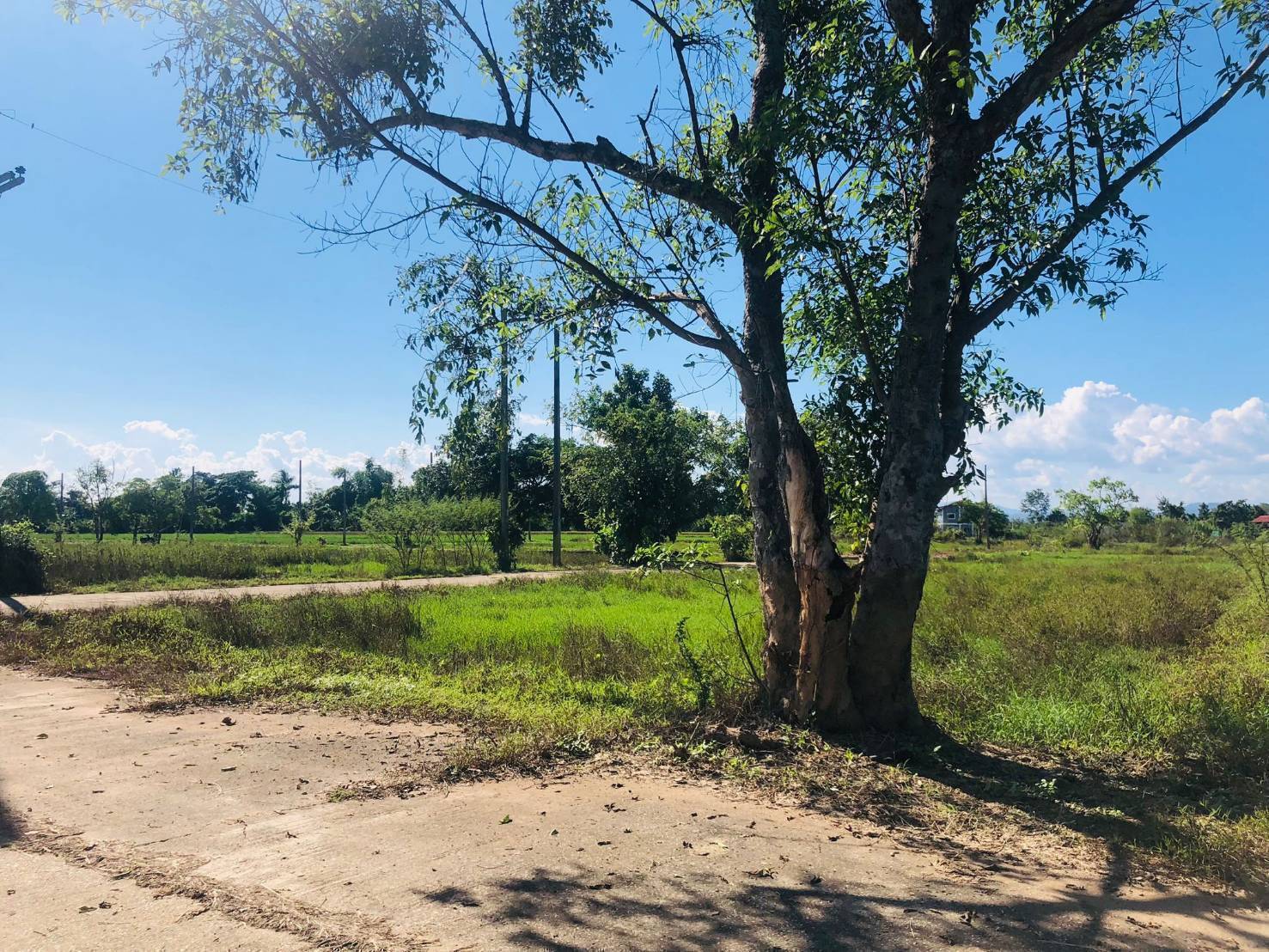 Chiang Mai House and Land Development Site Hang Dong