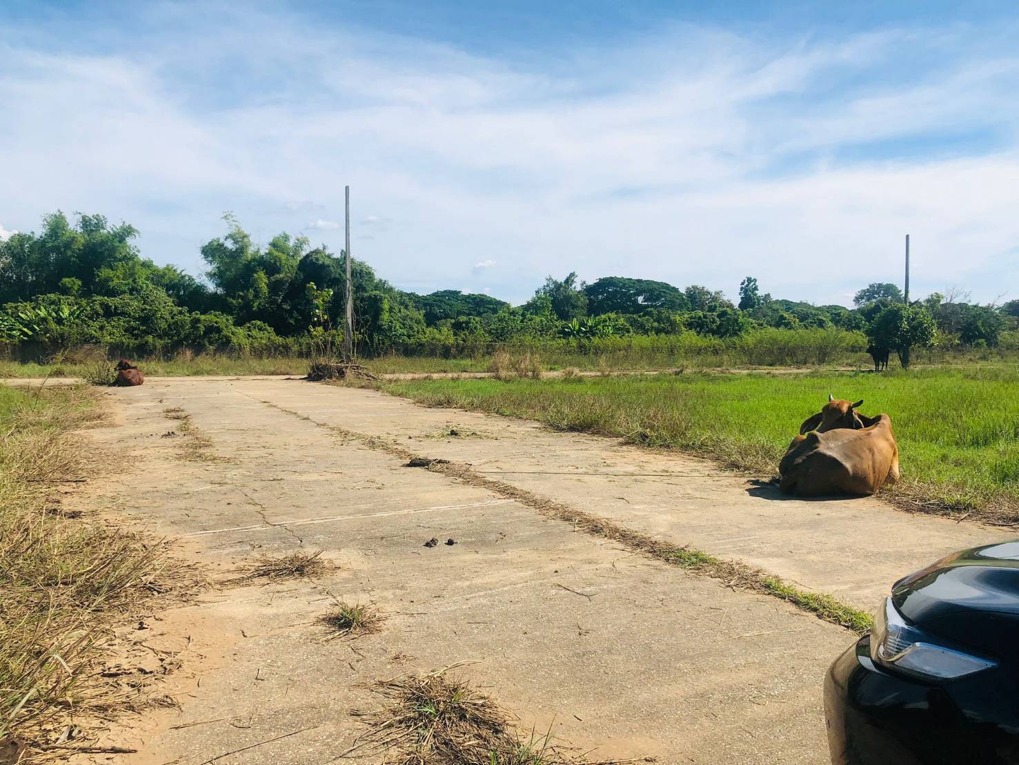 Chiang Mai House and Land Development Site Hang Dong