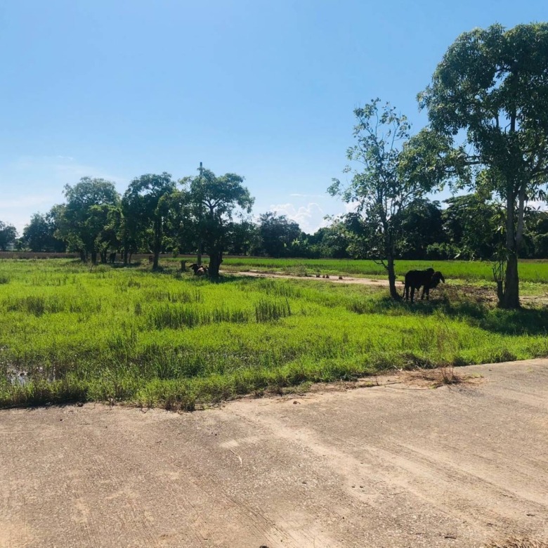 Chiang Mai House and Land Development Site Hang Dong