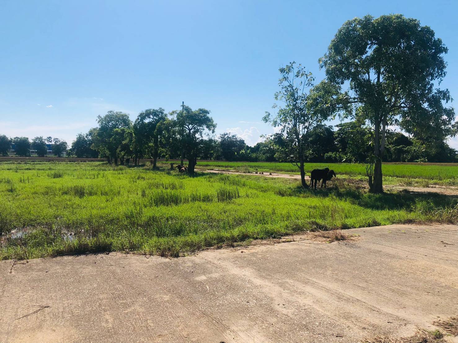 Chiang Mai House and Land Development Site Hang Dong