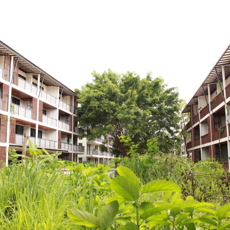 Condo Development for Sale – Nimman, Chiang Mai