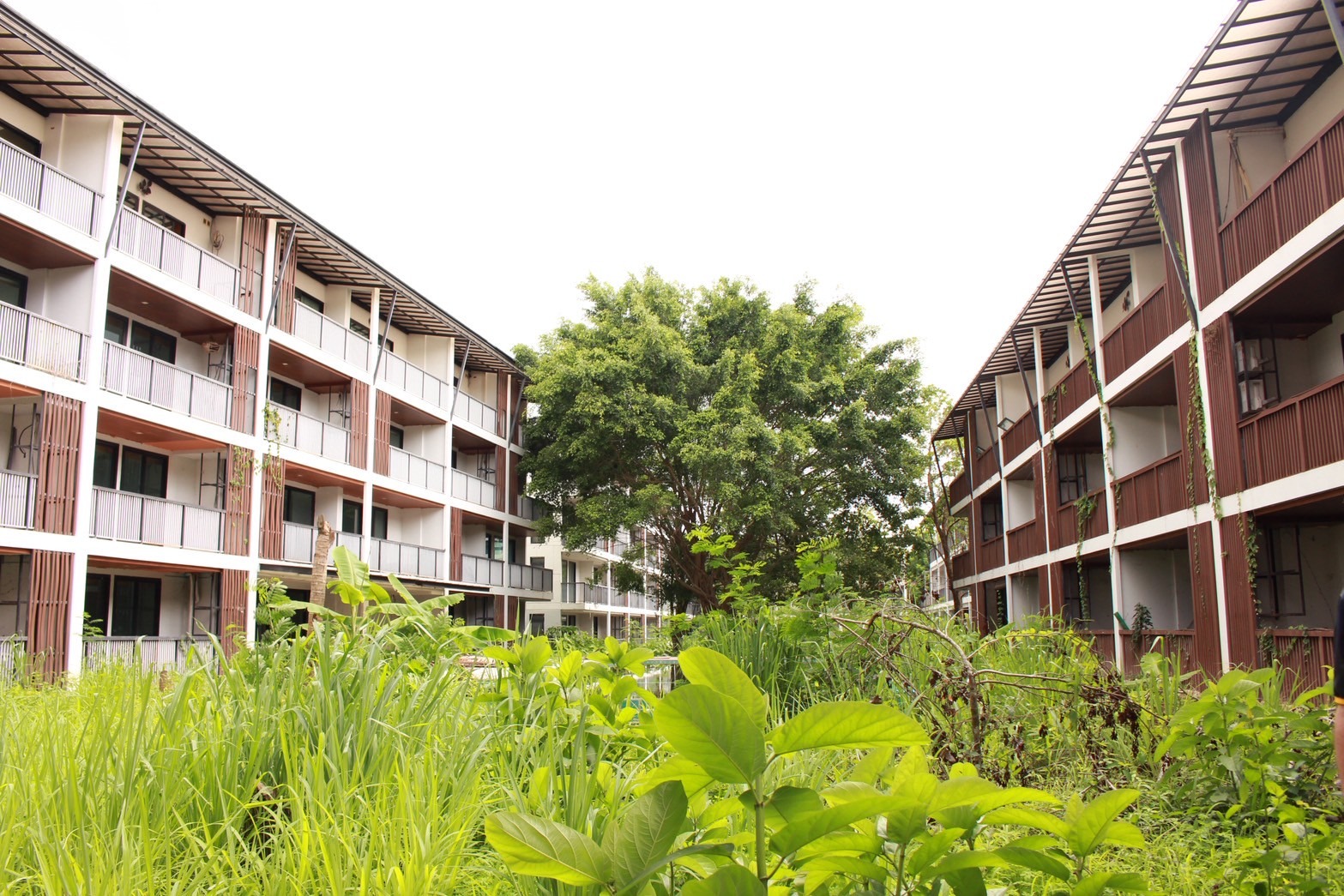Condo Development for Sale – Nimman, Chiang Mai