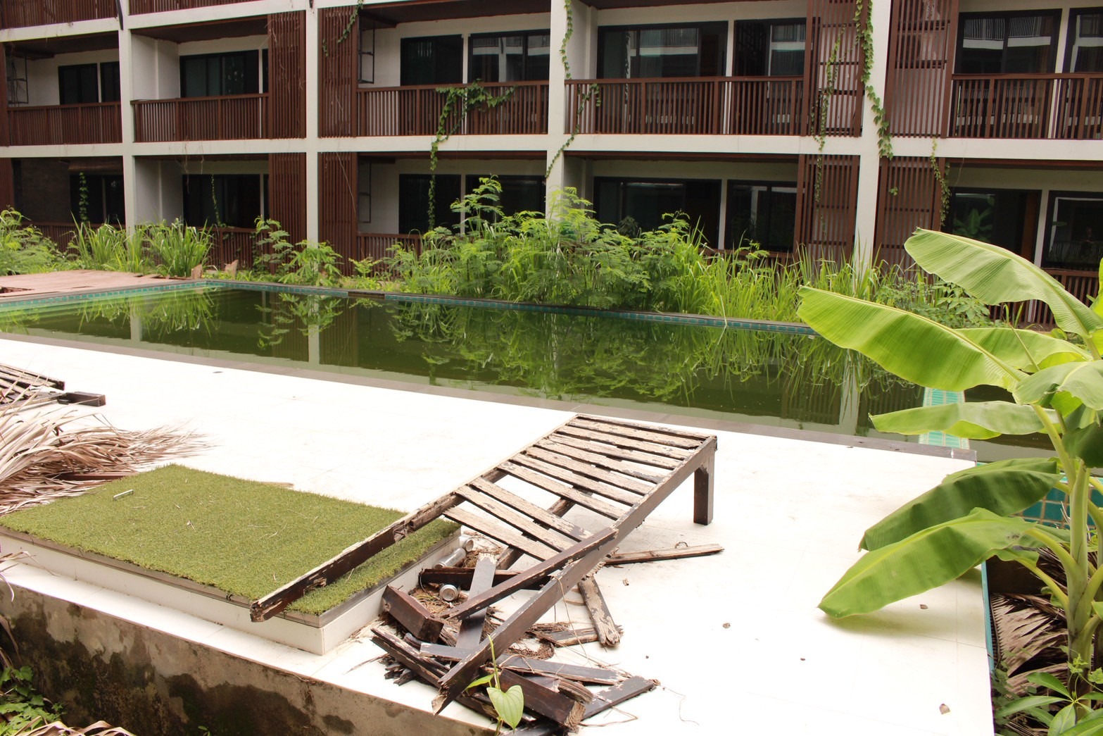 Condo Development for Sale – Nimman, Chiang Mai