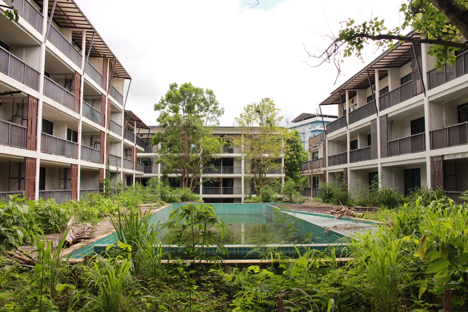 Condo Development for Sale – Nimman, Chiang Mai