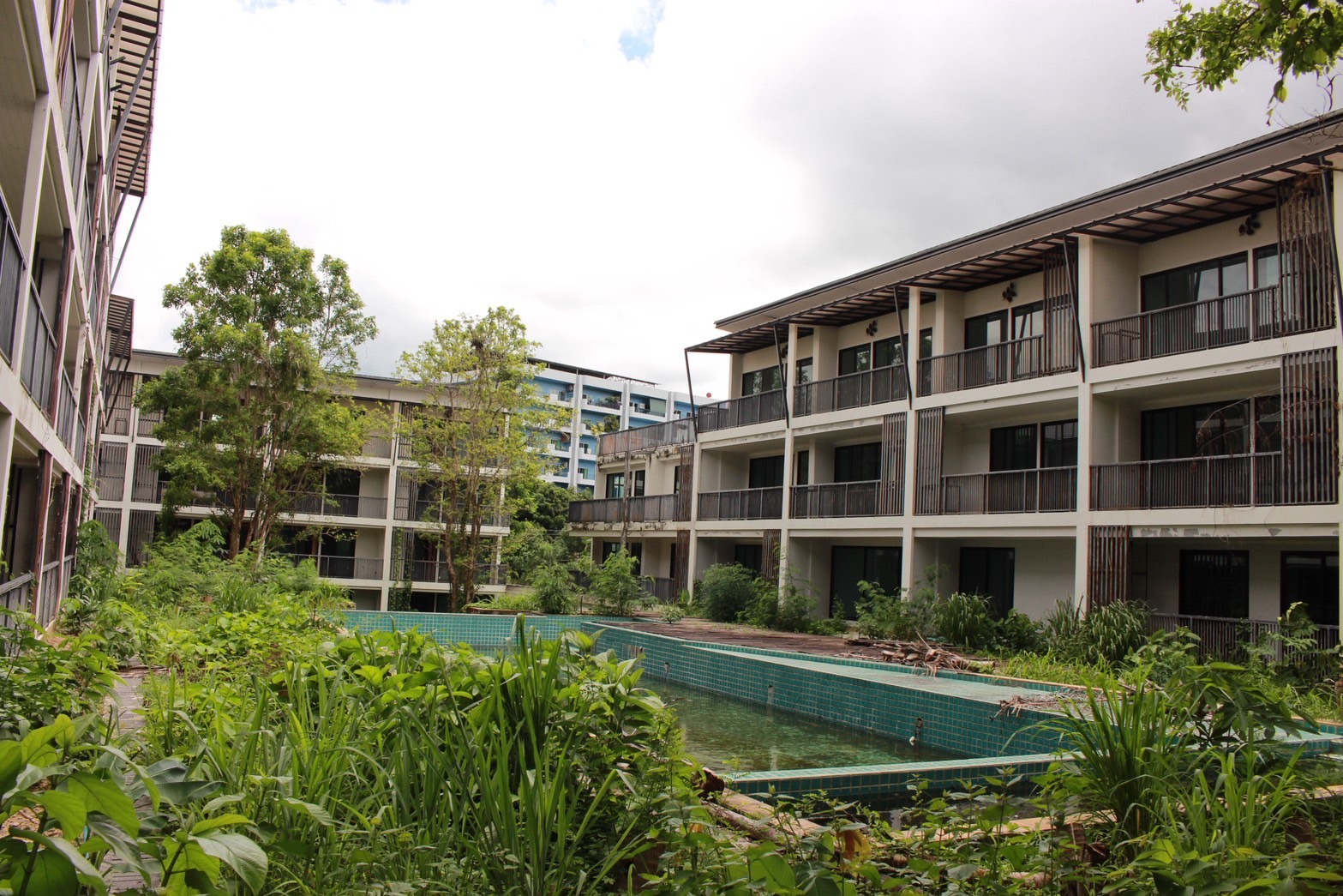Condo Development for Sale – Nimman, Chiang Mai