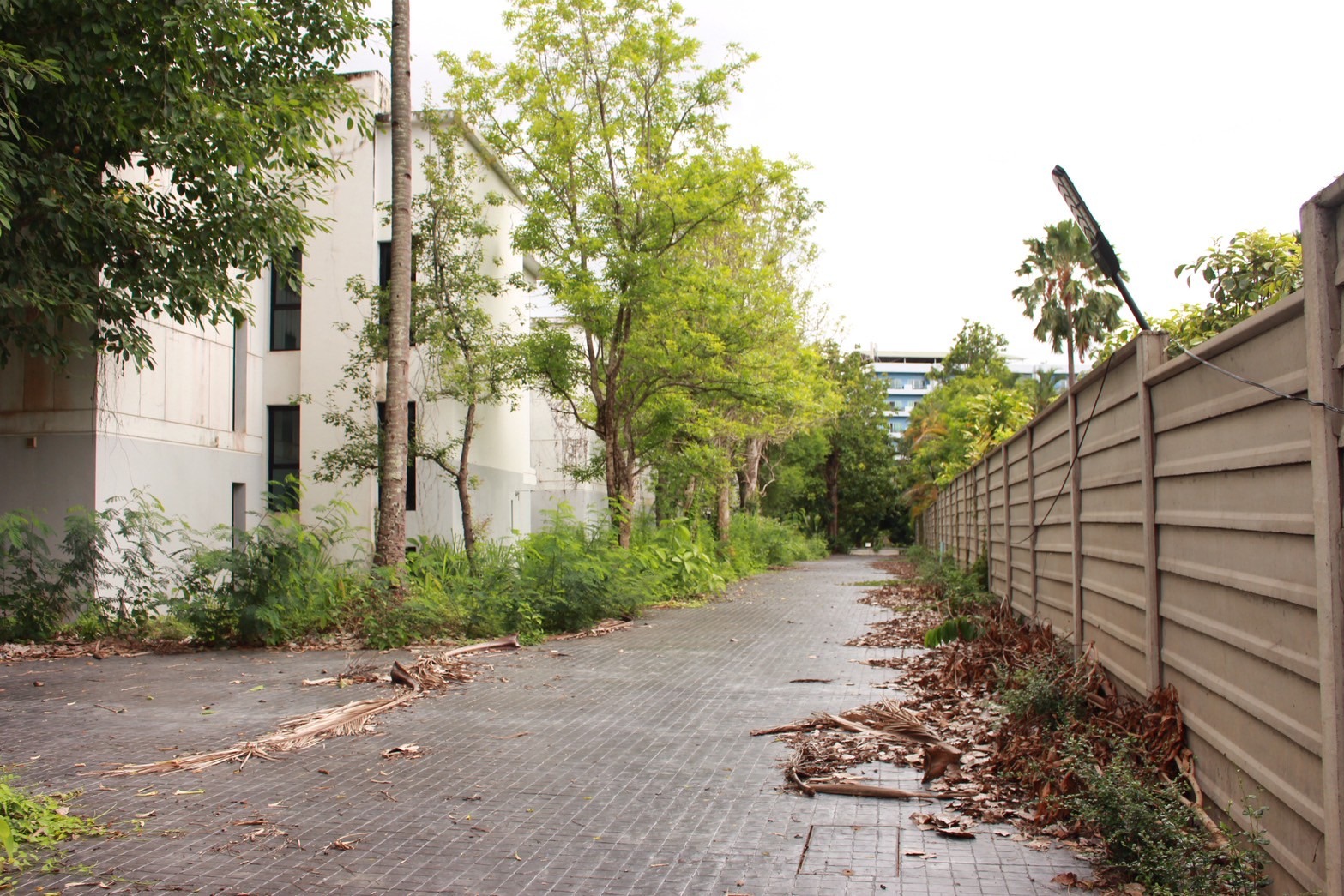 Condo Development for Sale – Nimman, Chiang Mai