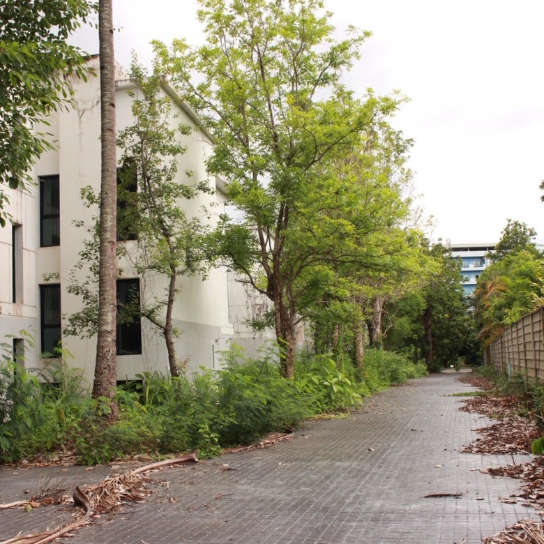 Condo Development for Sale – Nimman, Chiang Mai