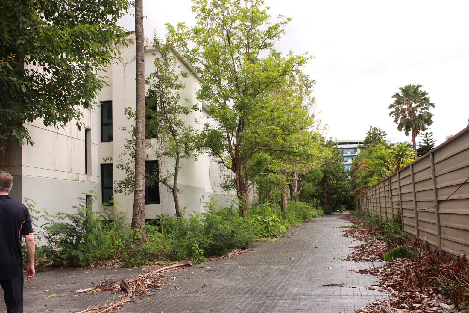 Condo Development for Sale – Nimman, Chiang Mai