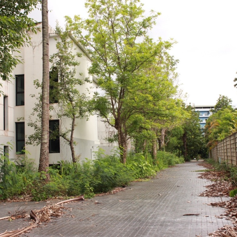 Condo Development for Sale – Nimman, Chiang Mai