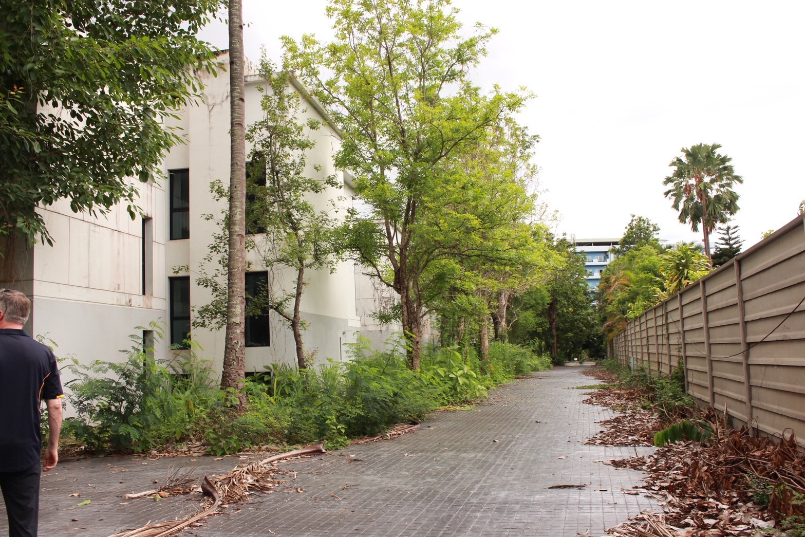 Condo Development for Sale – Nimman, Chiang Mai