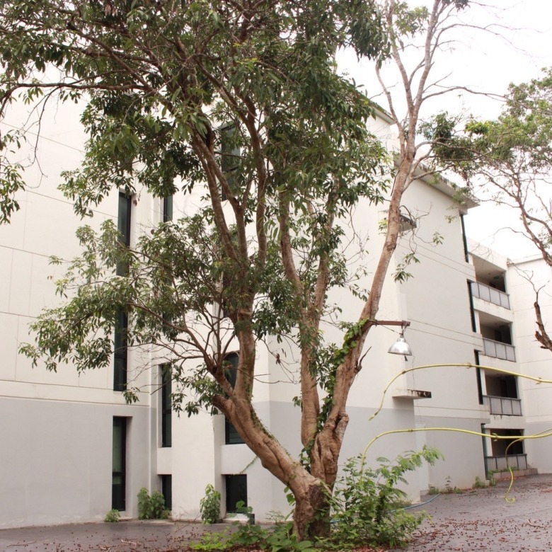Condo Development for Sale – Nimman, Chiang Mai