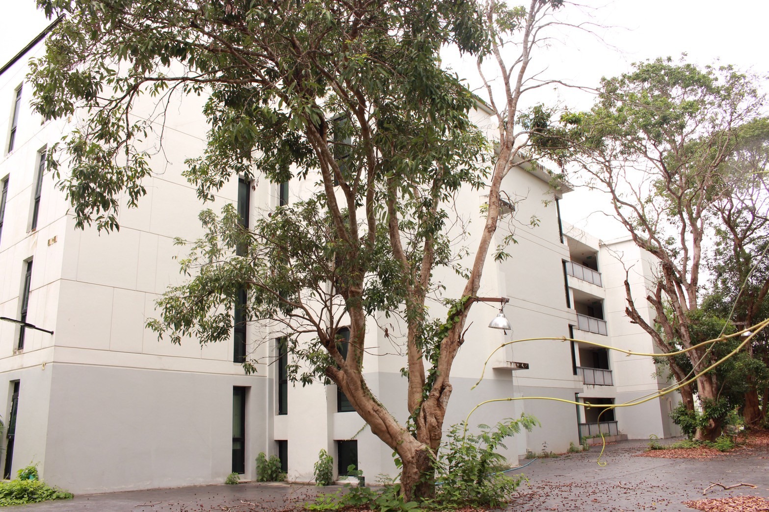 Condo Development for Sale – Nimman, Chiang Mai